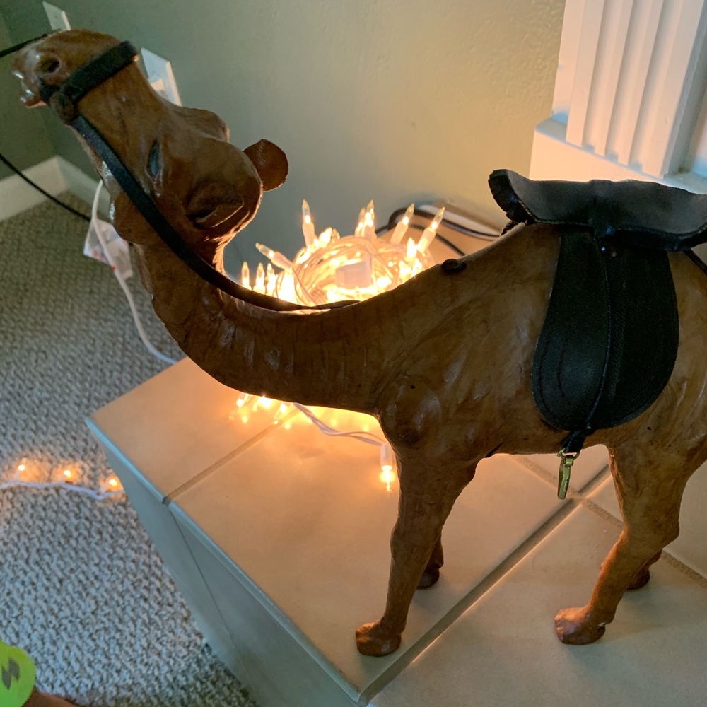 Set of 4 camels